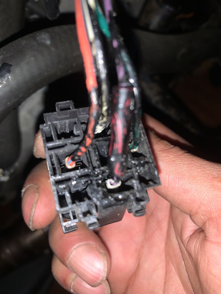 Forum member supplied image with no explanatory text