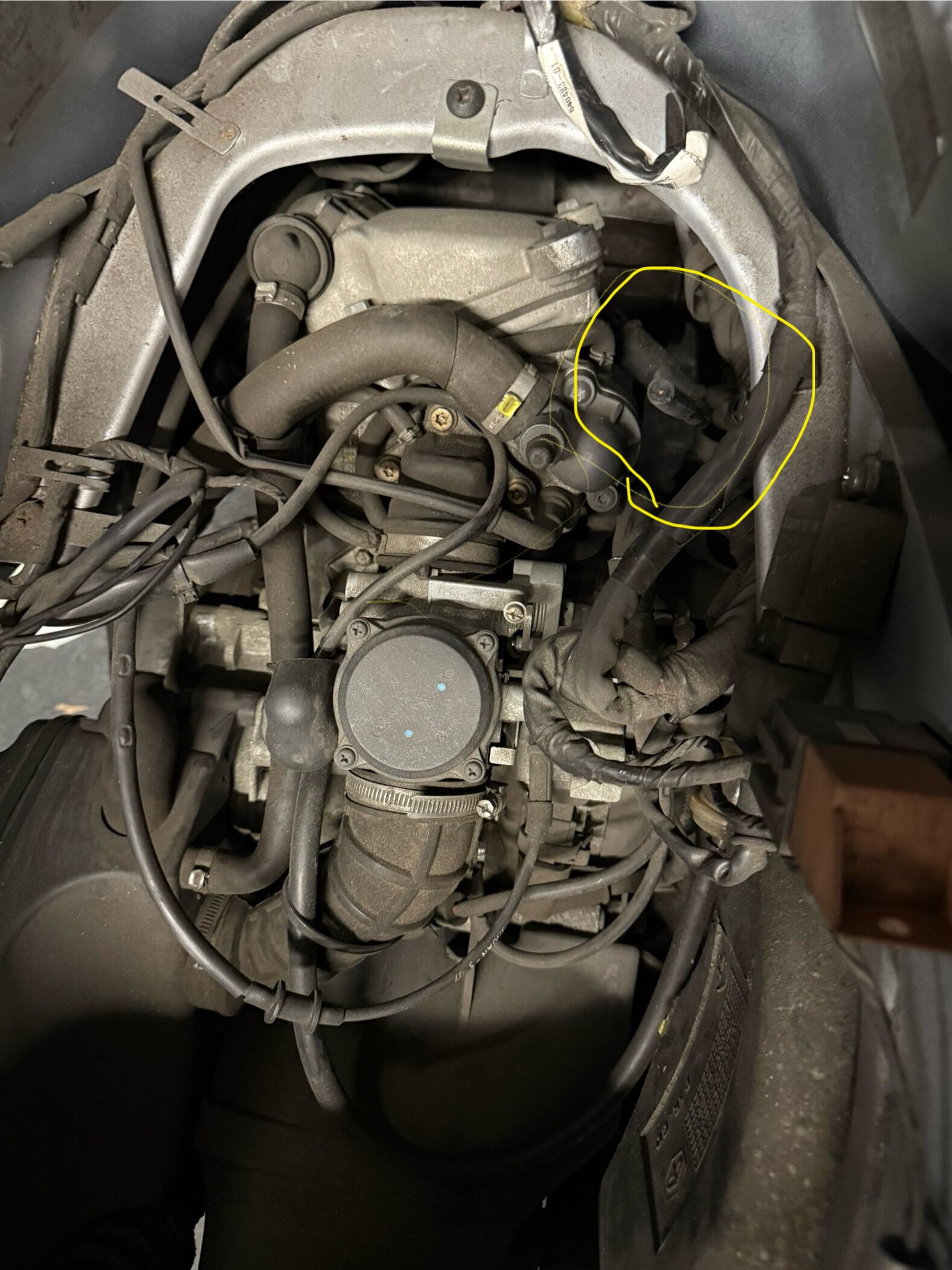 Forum member supplied image with no explanatory text