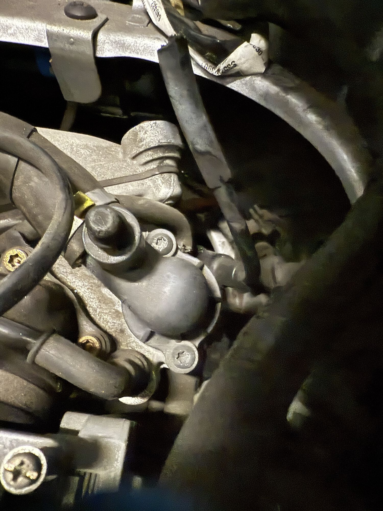 Forum member supplied image with no explanatory text