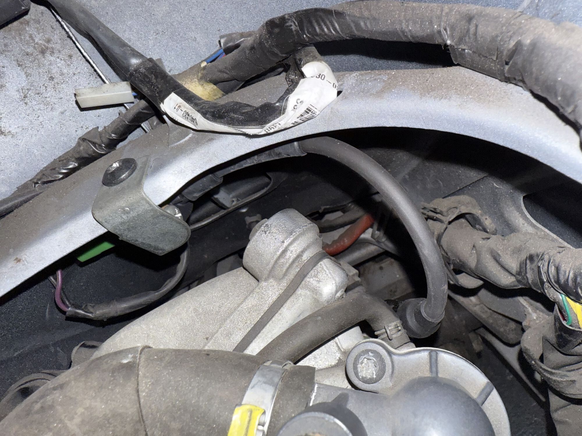 Forum member supplied image with no explanatory text