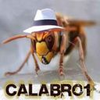 @calabrone avatar