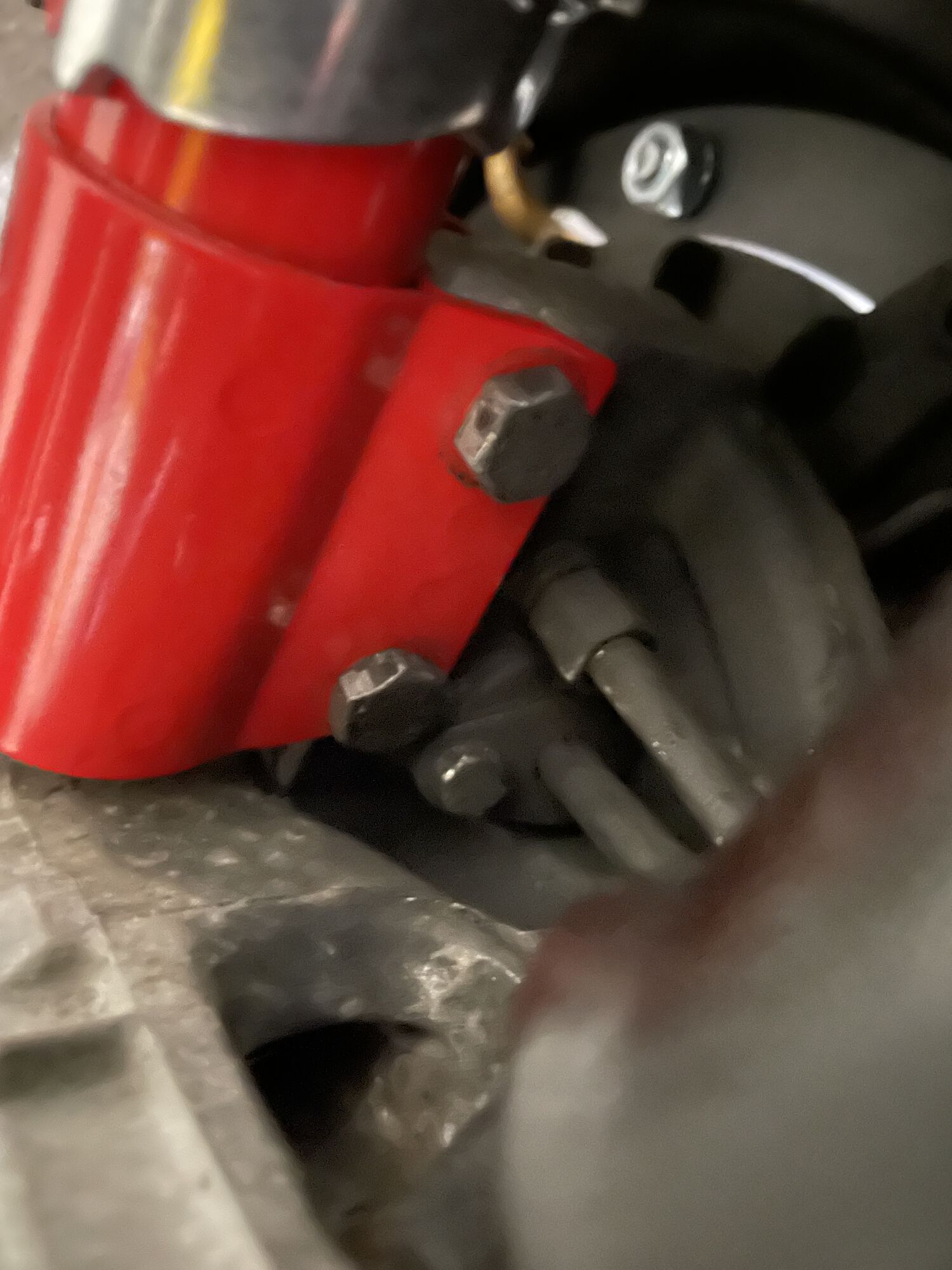 Forum member supplied image with no explanatory text