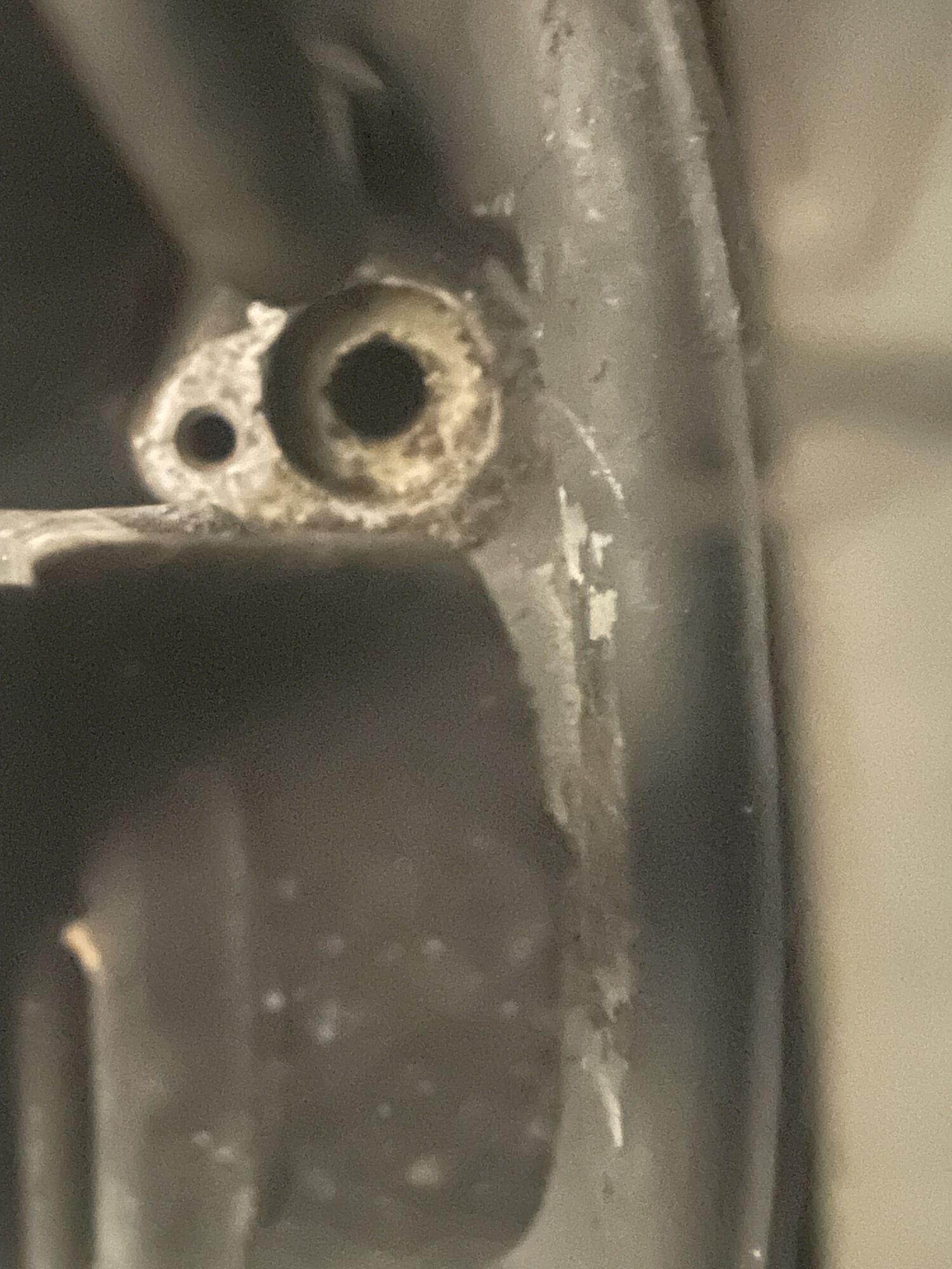 Forum member supplied image with no explanatory text