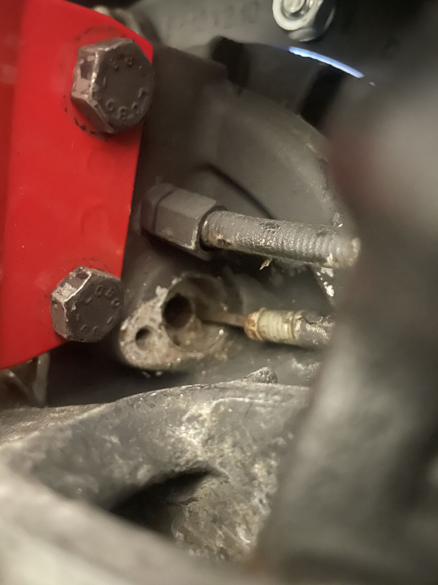 Forum member supplied image with no explanatory text