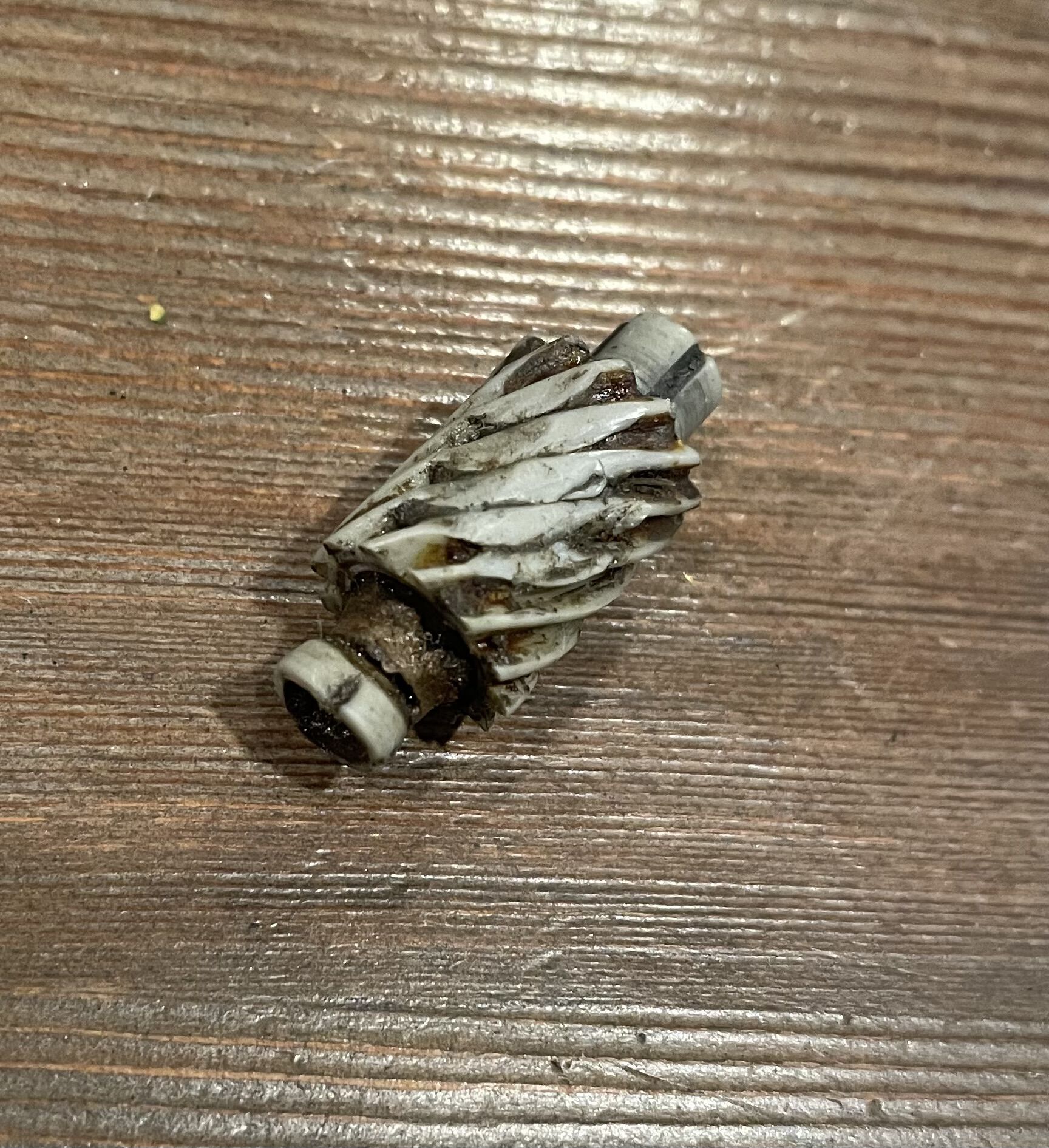 Forum member supplied image with no explanatory text