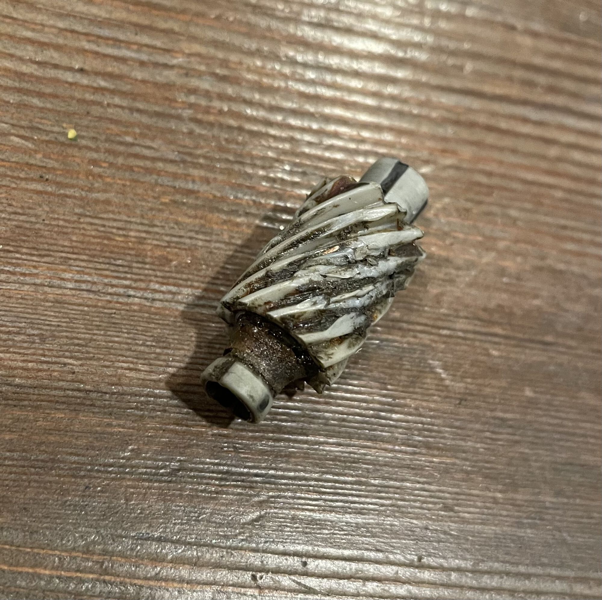 Forum member supplied image with no explanatory text