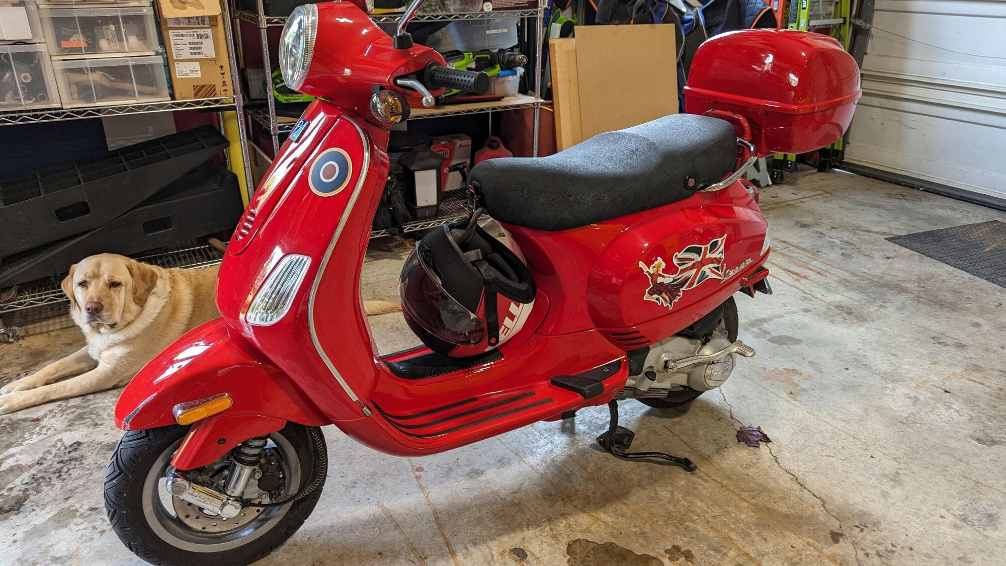 Forum member supplied image with no explanatory text