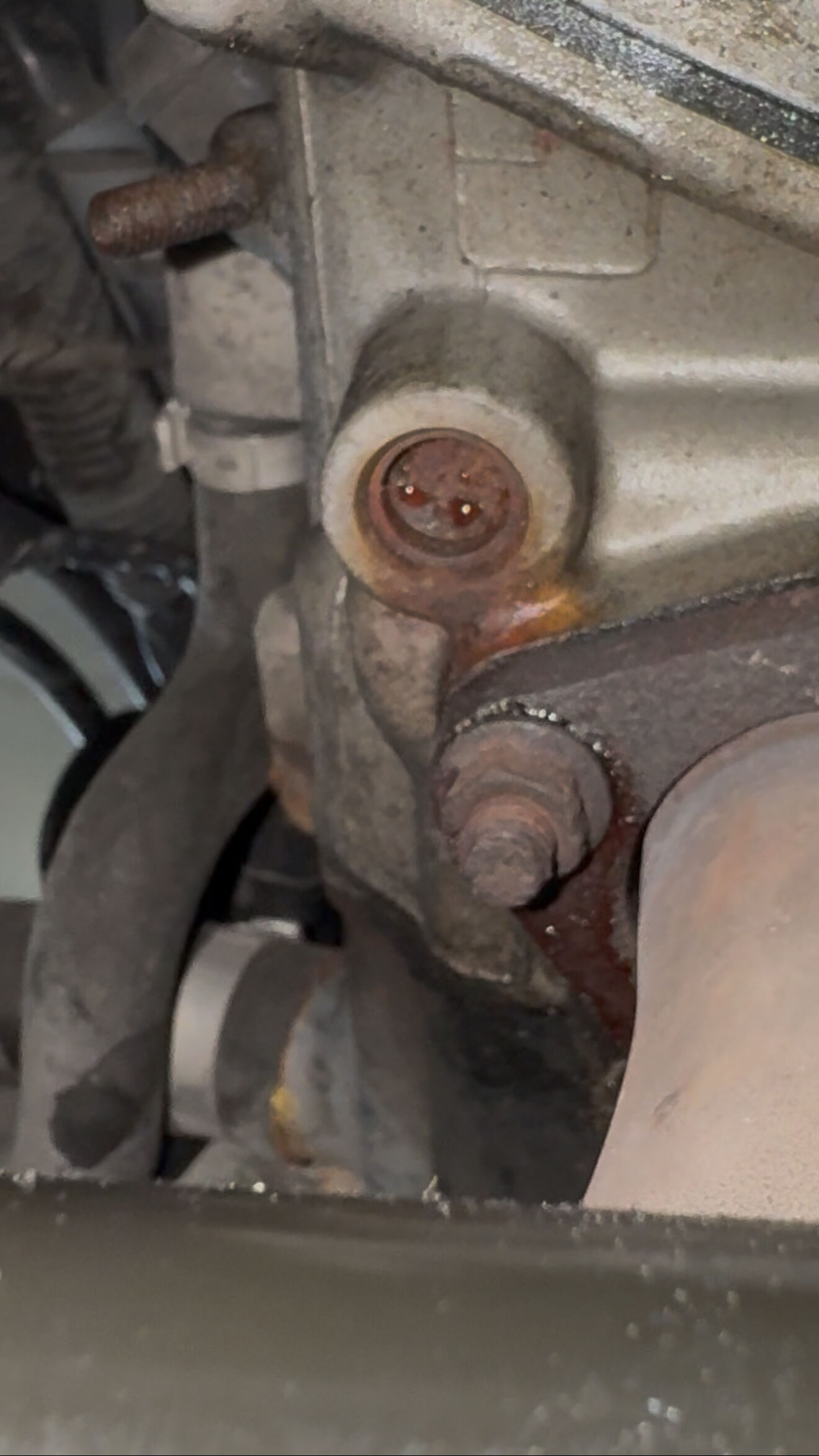 Forum member supplied image with no explanatory text