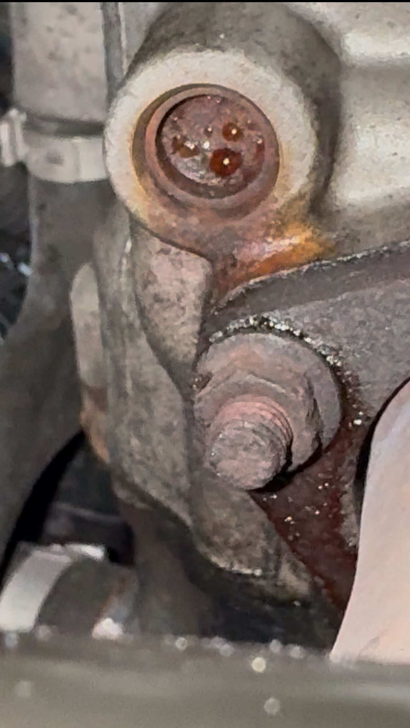 Forum member supplied image with no explanatory text