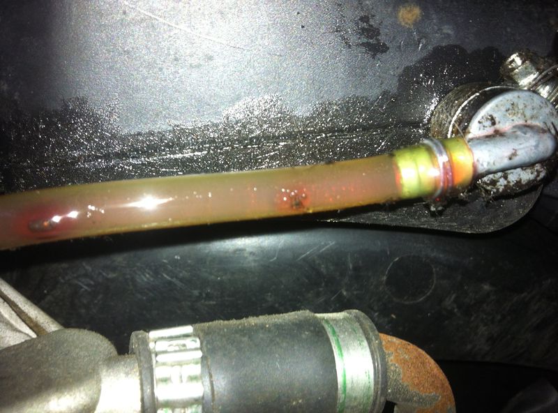 Forum member supplied image with no explanatory text