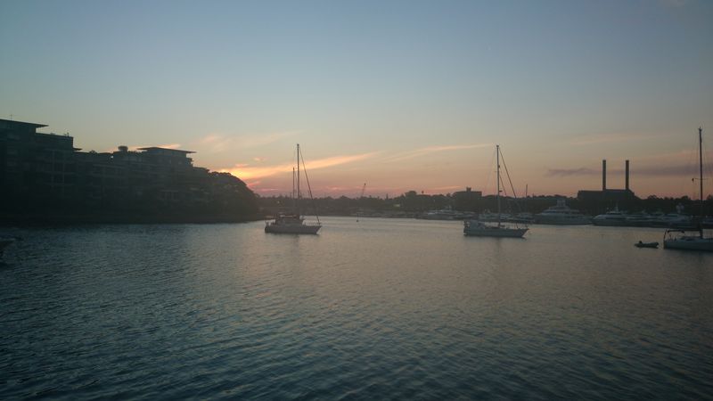 Forum member supplied image with no explanatory text