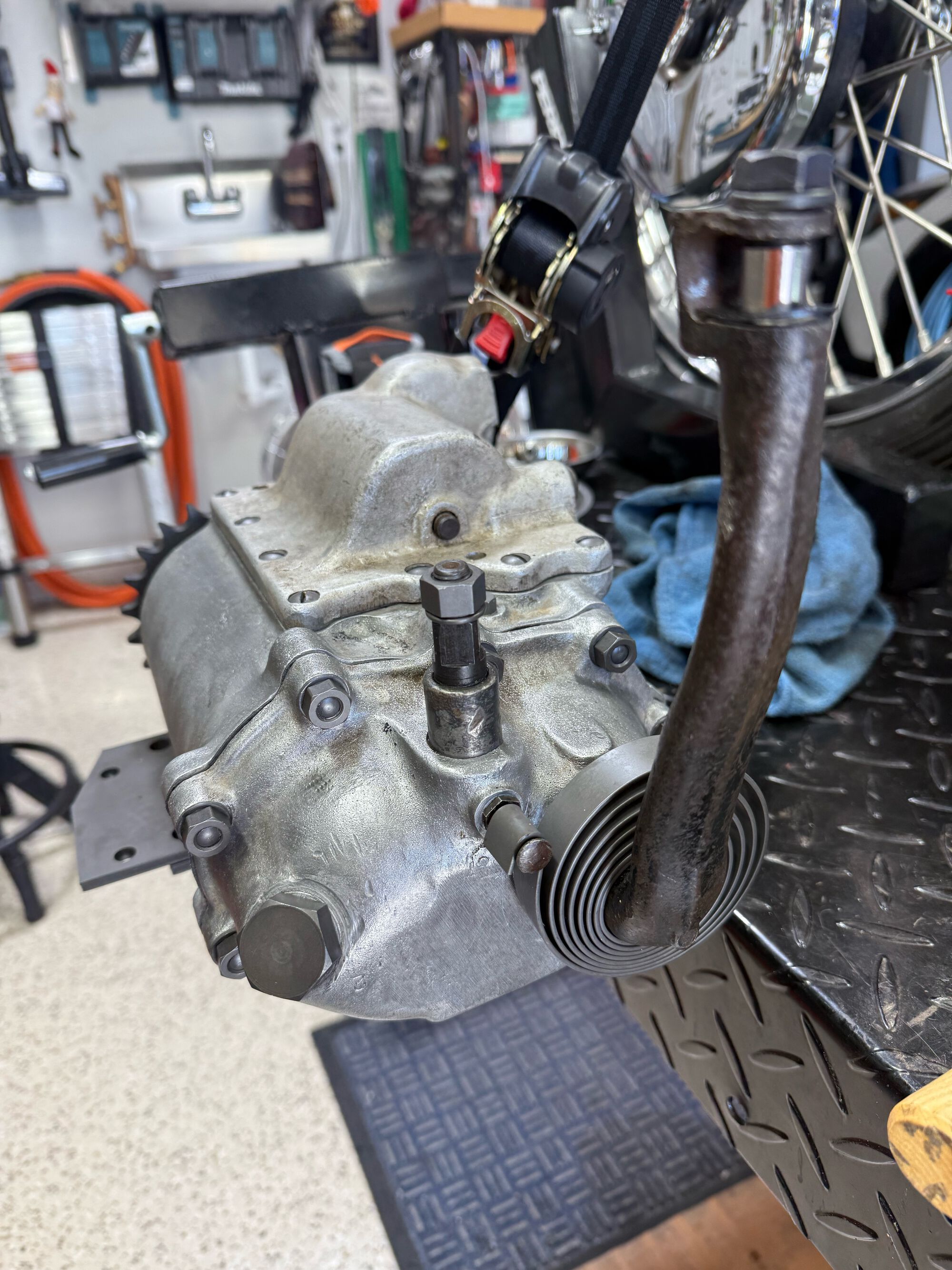 Forum member supplied image with no explanatory text