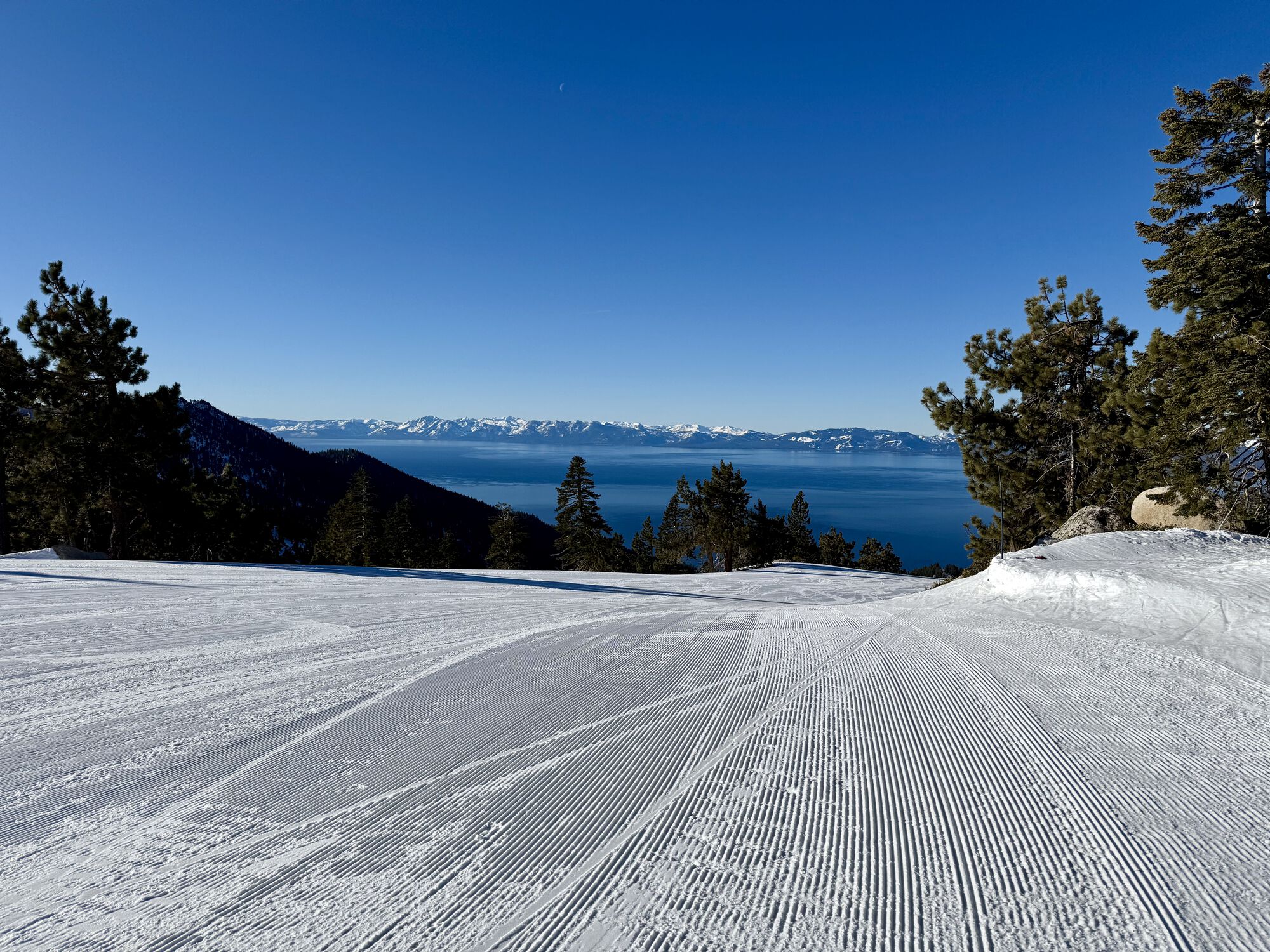 Forum member supplied image with no explanatory text