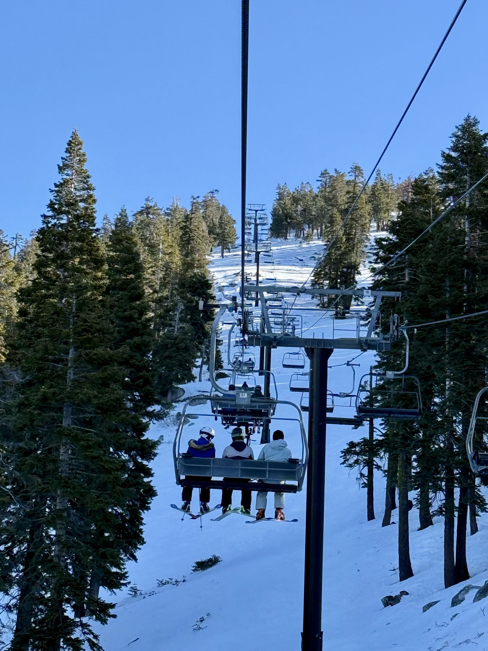 Forum member supplied image with no explanatory text