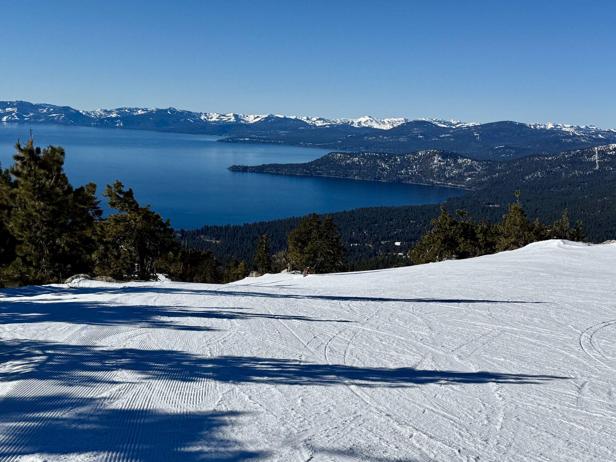 Forum member supplied image with no explanatory text