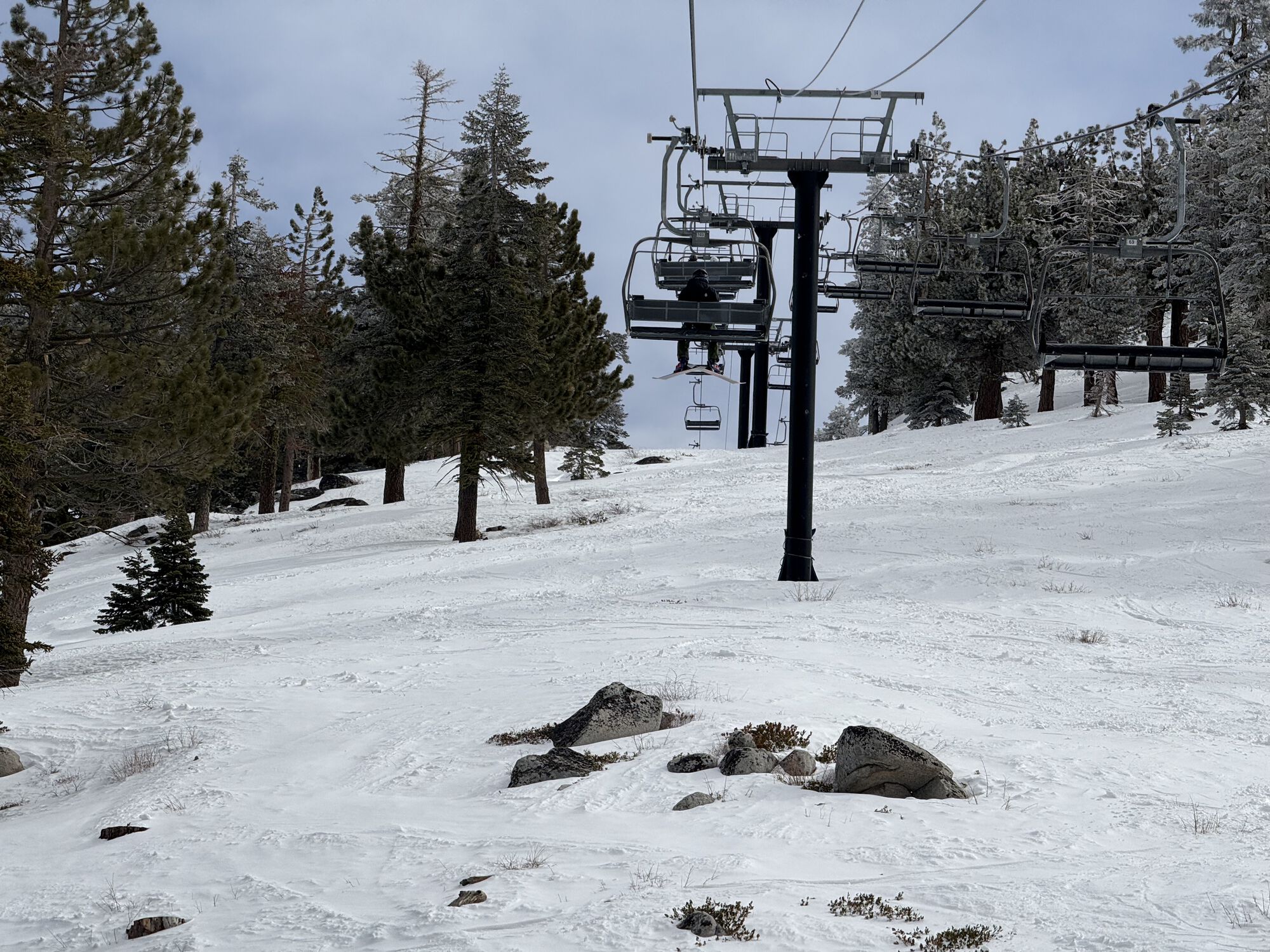 Forum member supplied image with no explanatory text