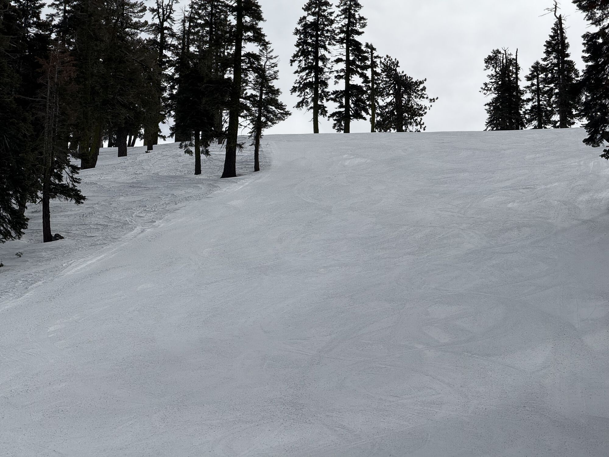 Forum member supplied image with no explanatory text