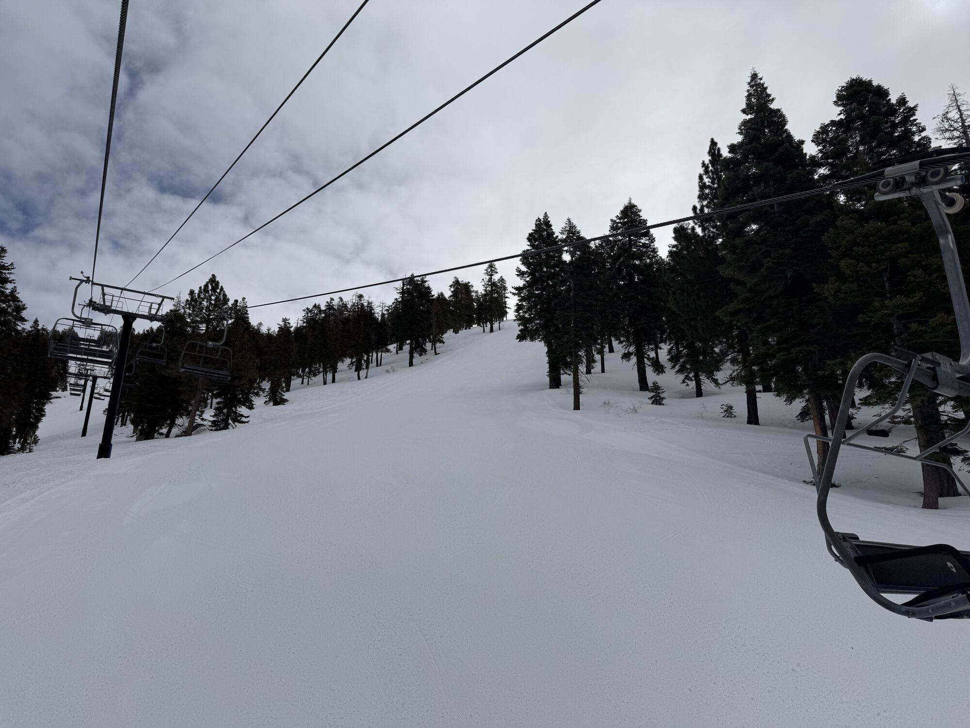 Forum member supplied image with no explanatory text