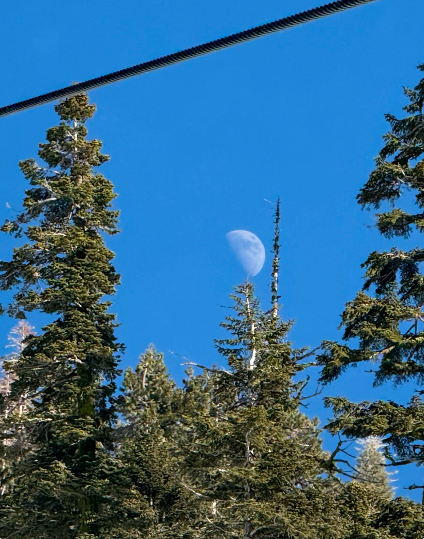Beautiful moonrise around 2pm.