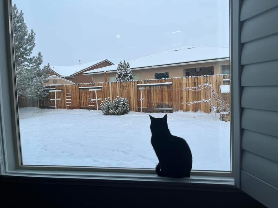 Forum member supplied image with no explanatory text