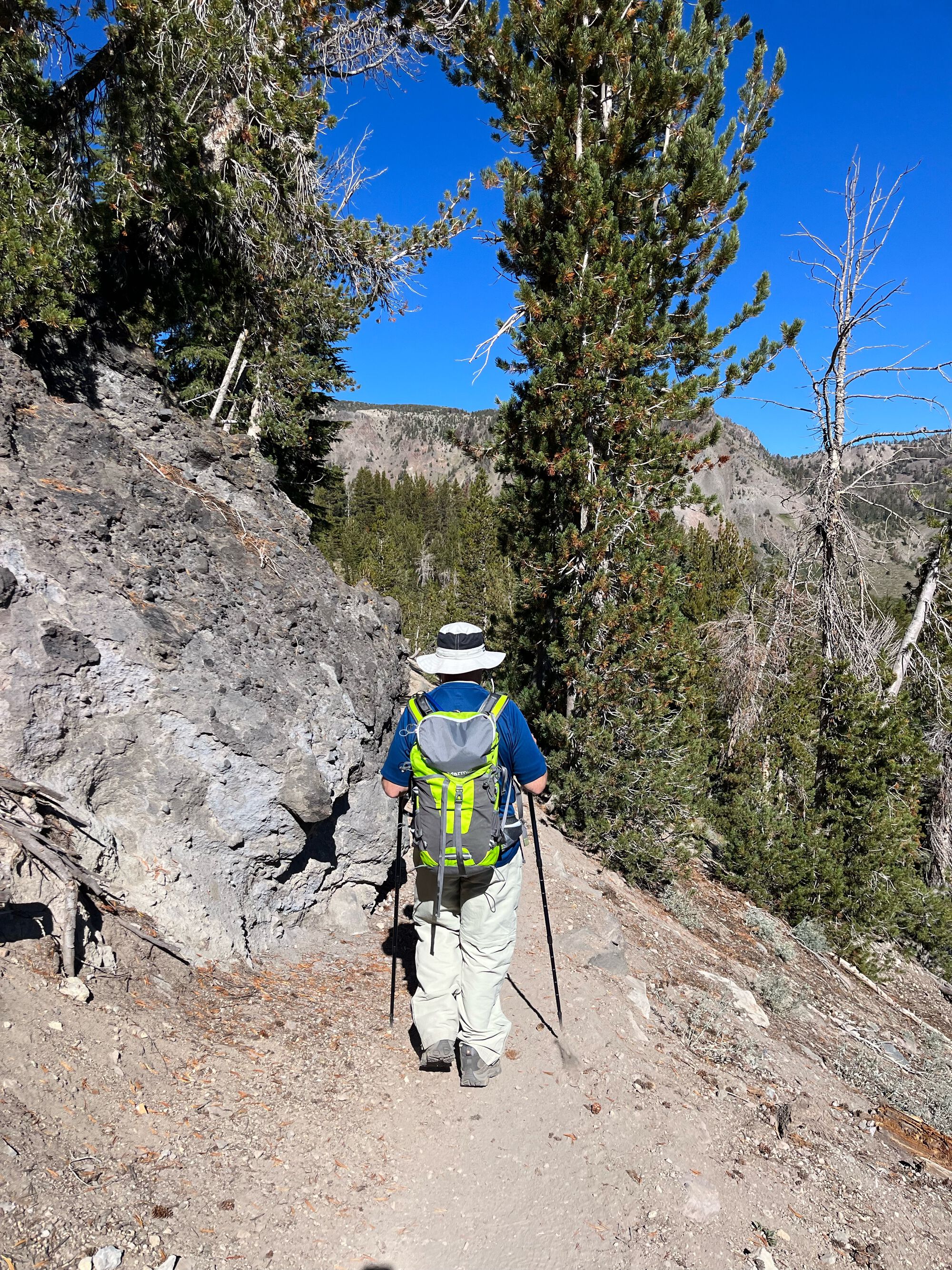 Forum member supplied image with no explanatory text