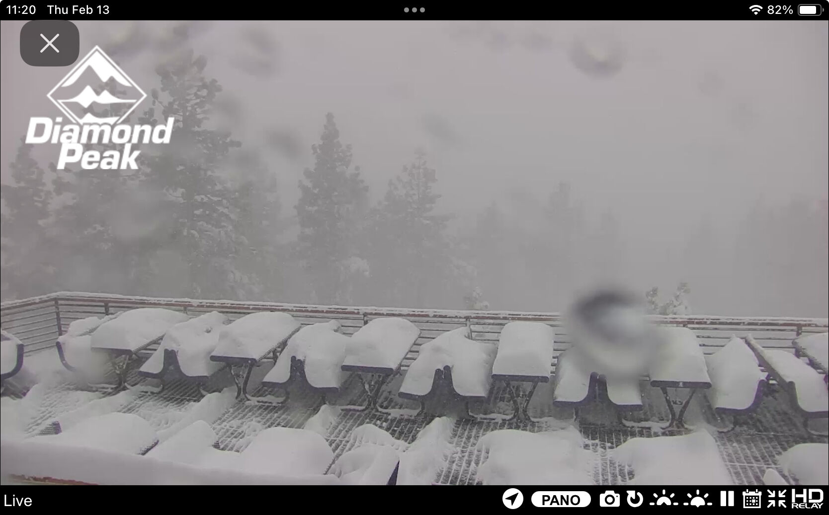 Forum member supplied image with no explanatory text