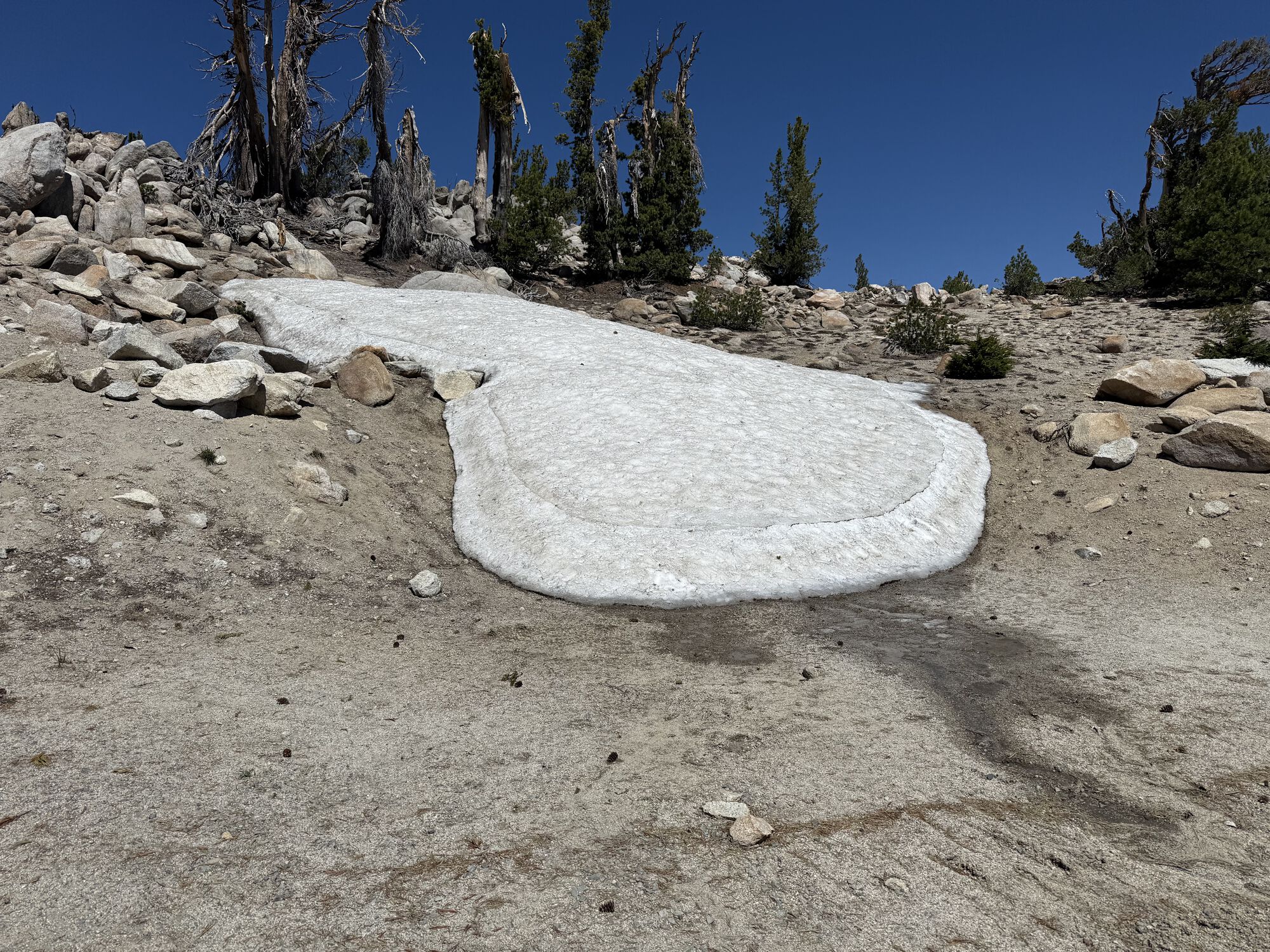 Still a bit of snow at this elevation. This little patch is about 8' thick.