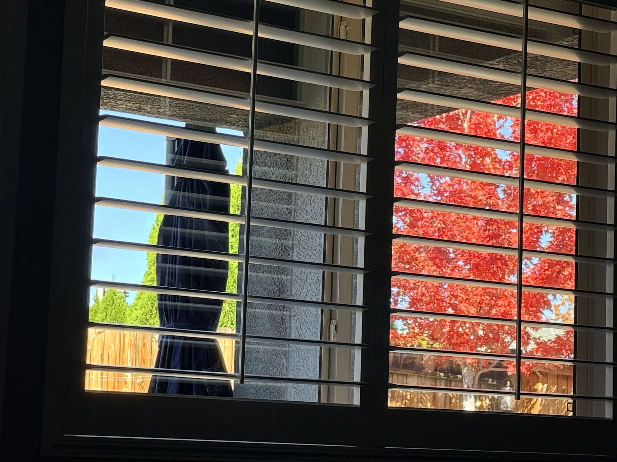 Forum member supplied image with no explanatory text