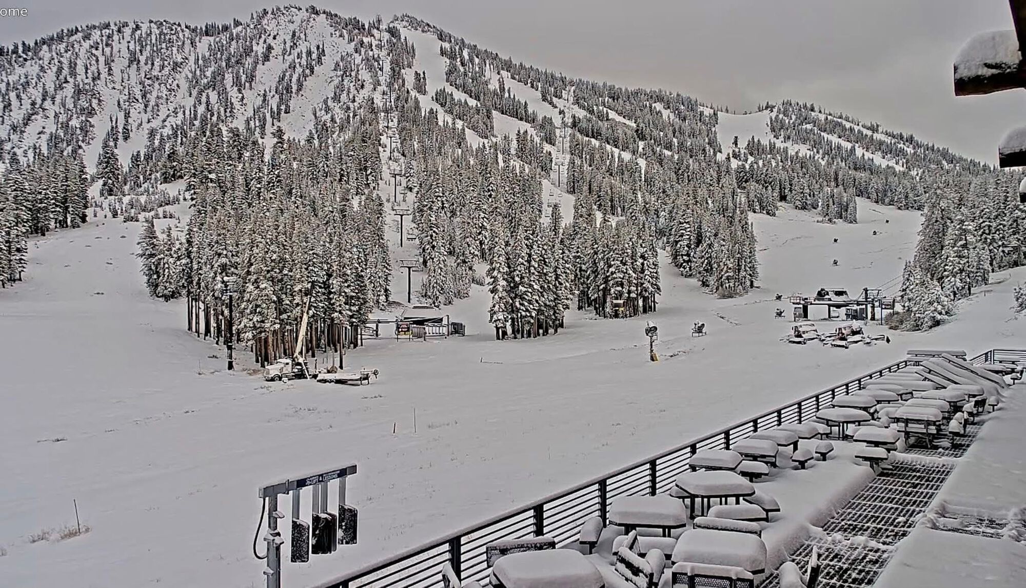 Forum member supplied image with no explanatory text