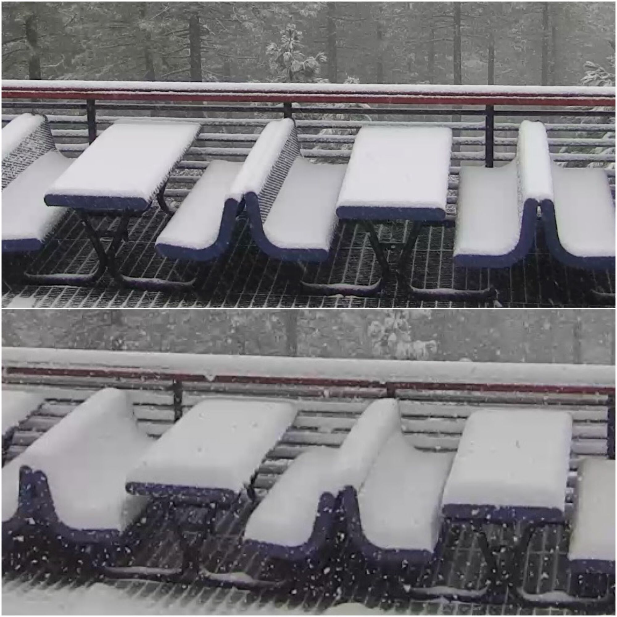 Top image captured about 10am PST. Bottom captured around 10:45am PST. That's decent accumulation for 45min.