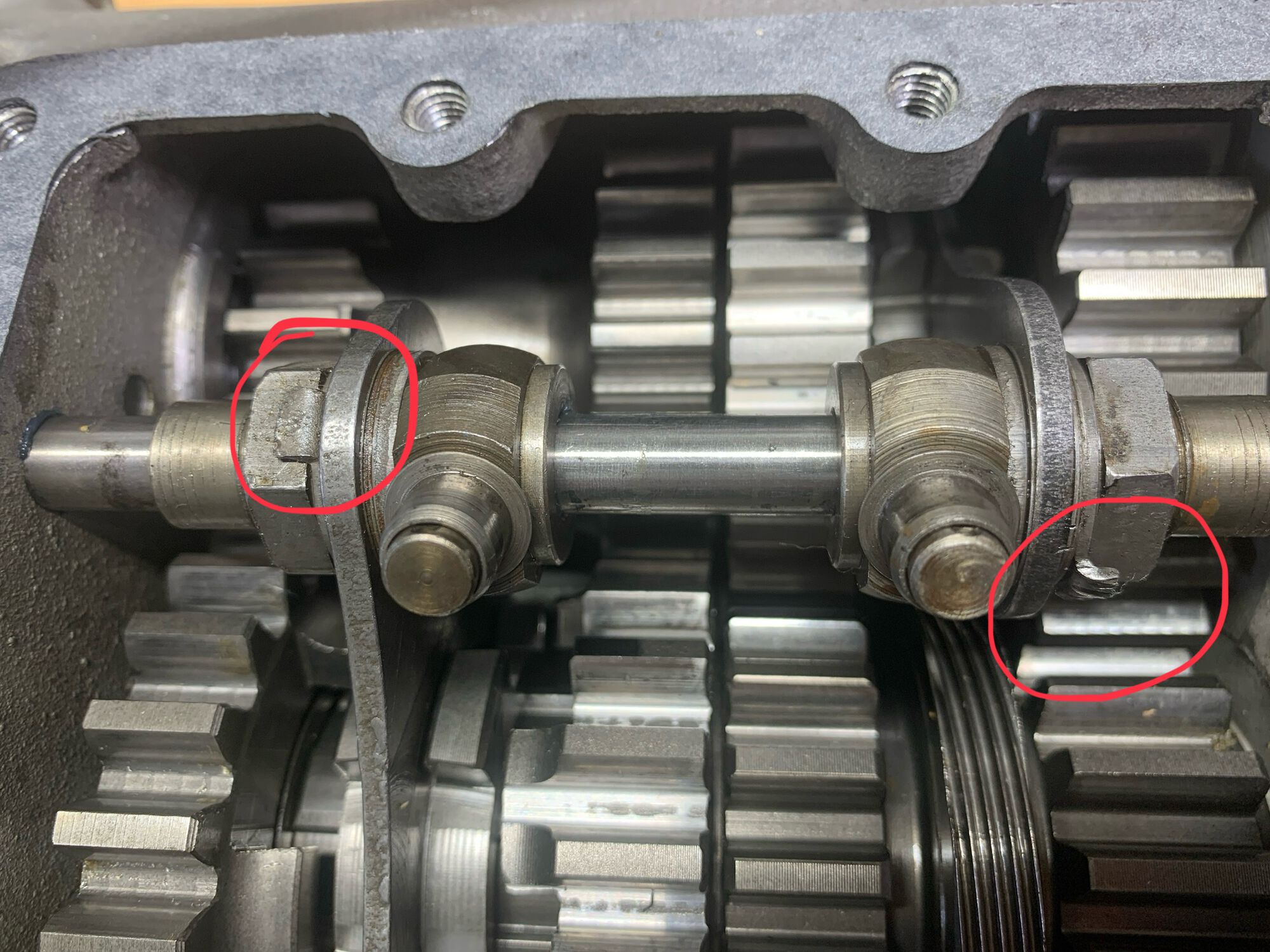 Forum member supplied image with no explanatory text