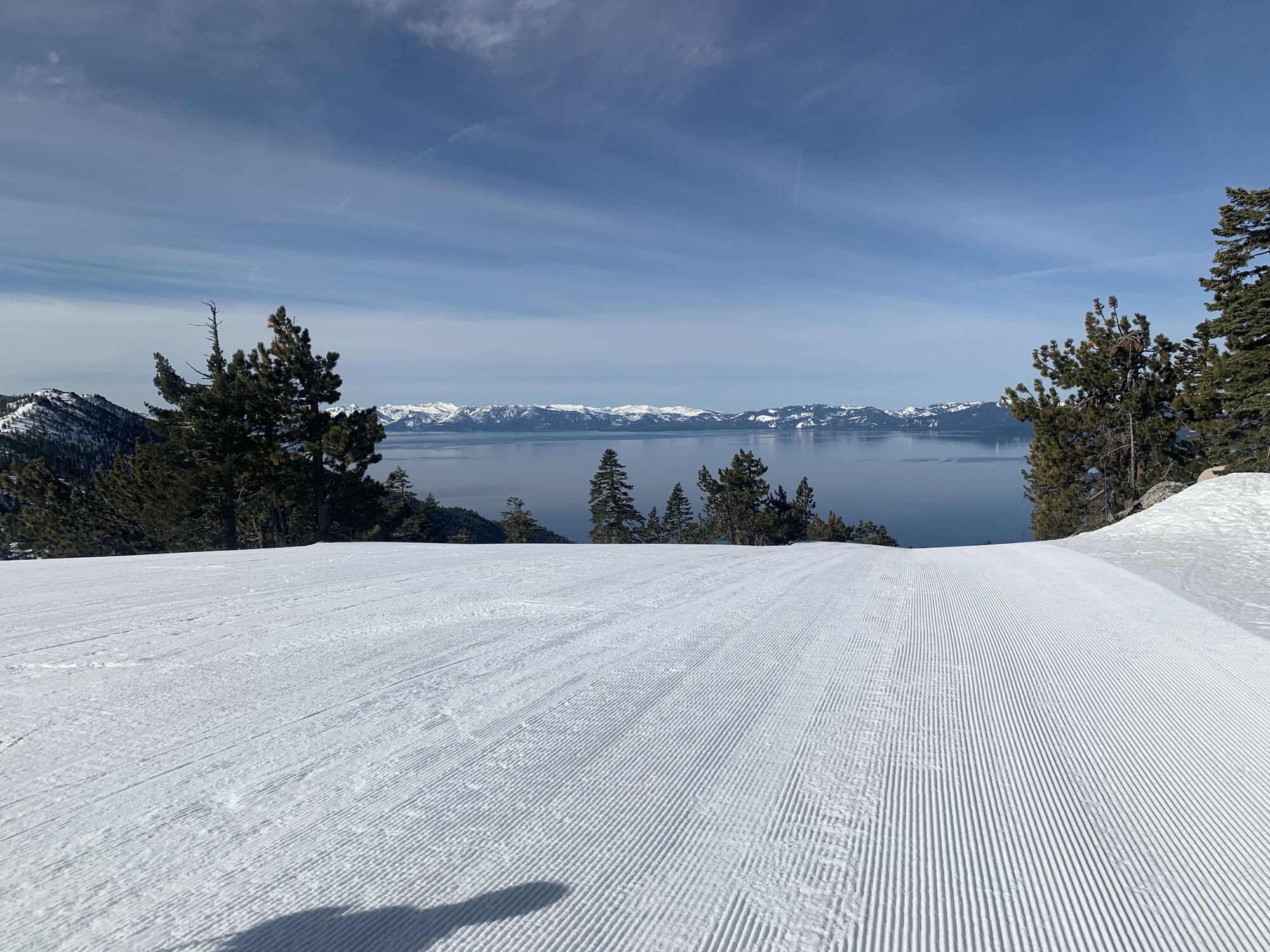 Forum member supplied image with no explanatory text