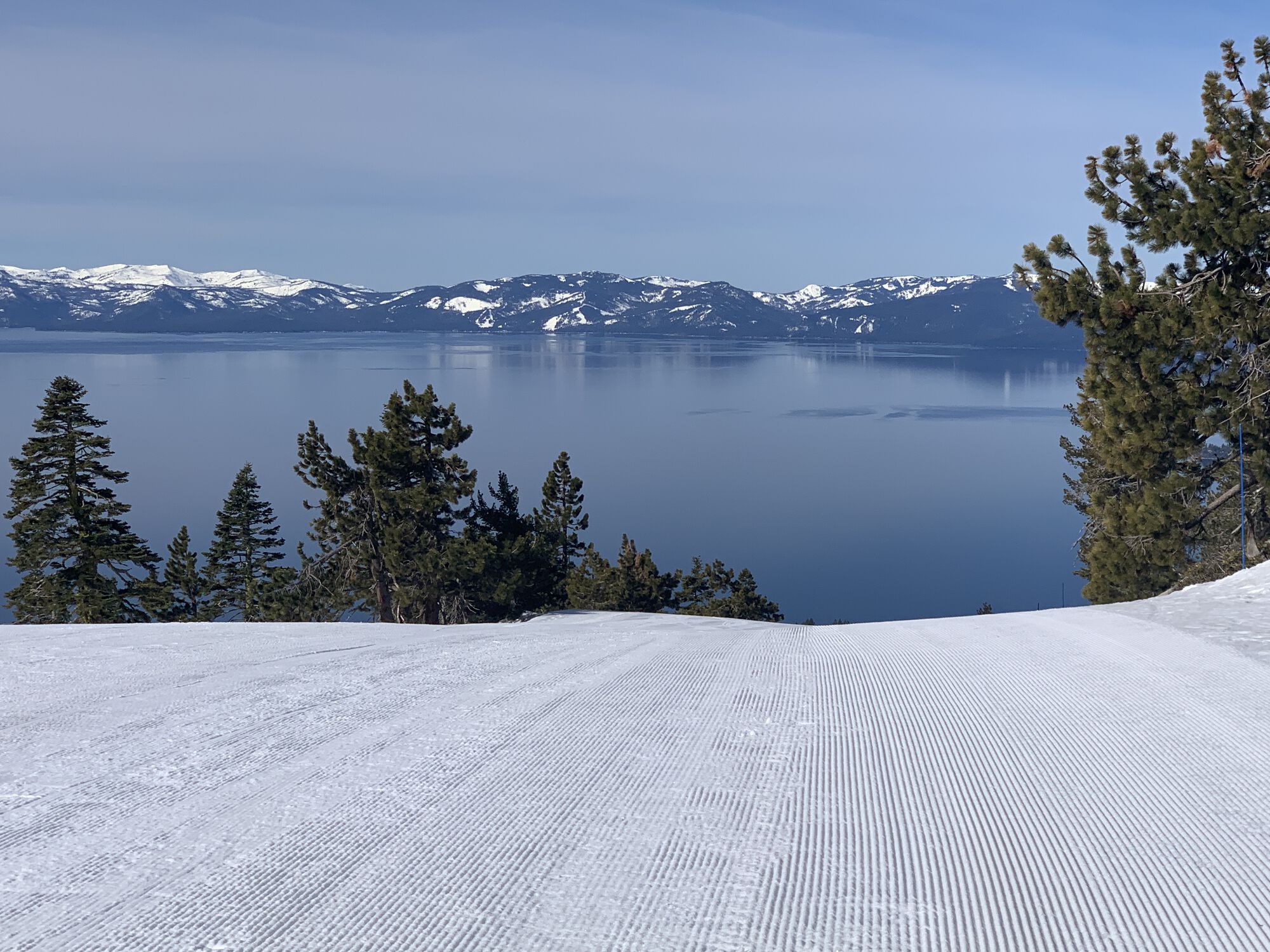 Forum member supplied image with no explanatory text