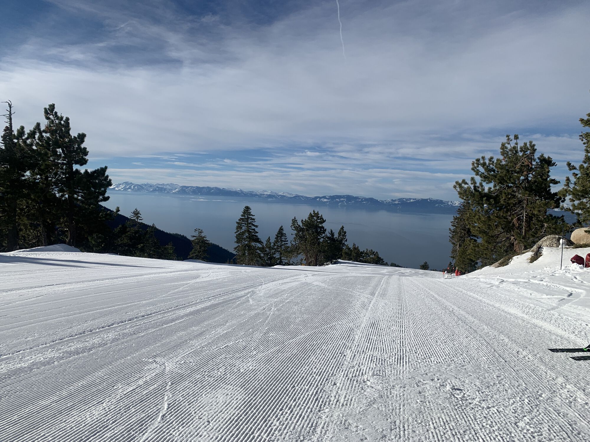 Forum member supplied image with no explanatory text