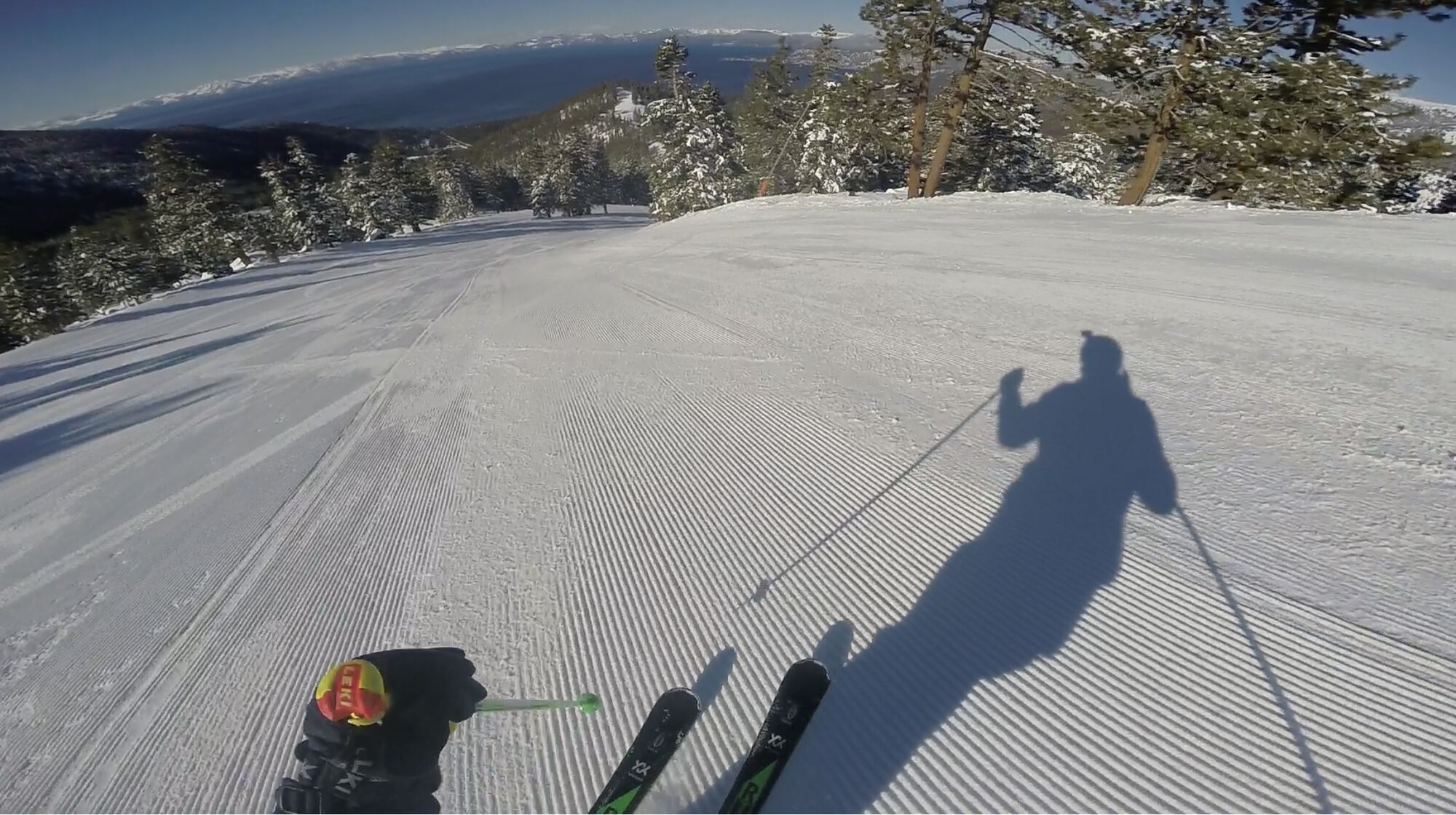 Forum member supplied image with no explanatory text