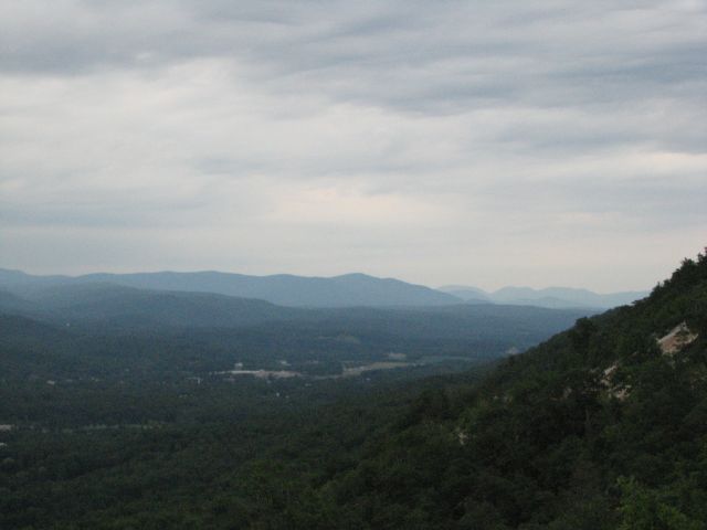 Forum member supplied image with no explanatory text