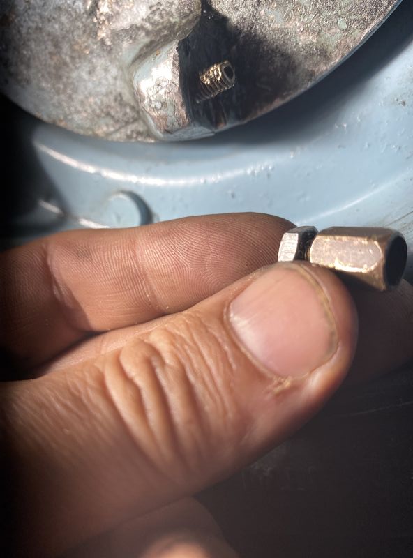 Forum member supplied image with no explanatory text