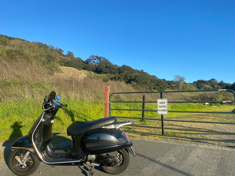 Forum member supplied image with no explanatory text