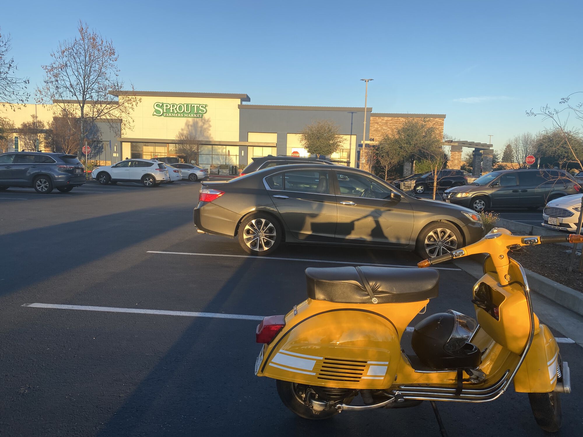Forum member supplied image with no explanatory text