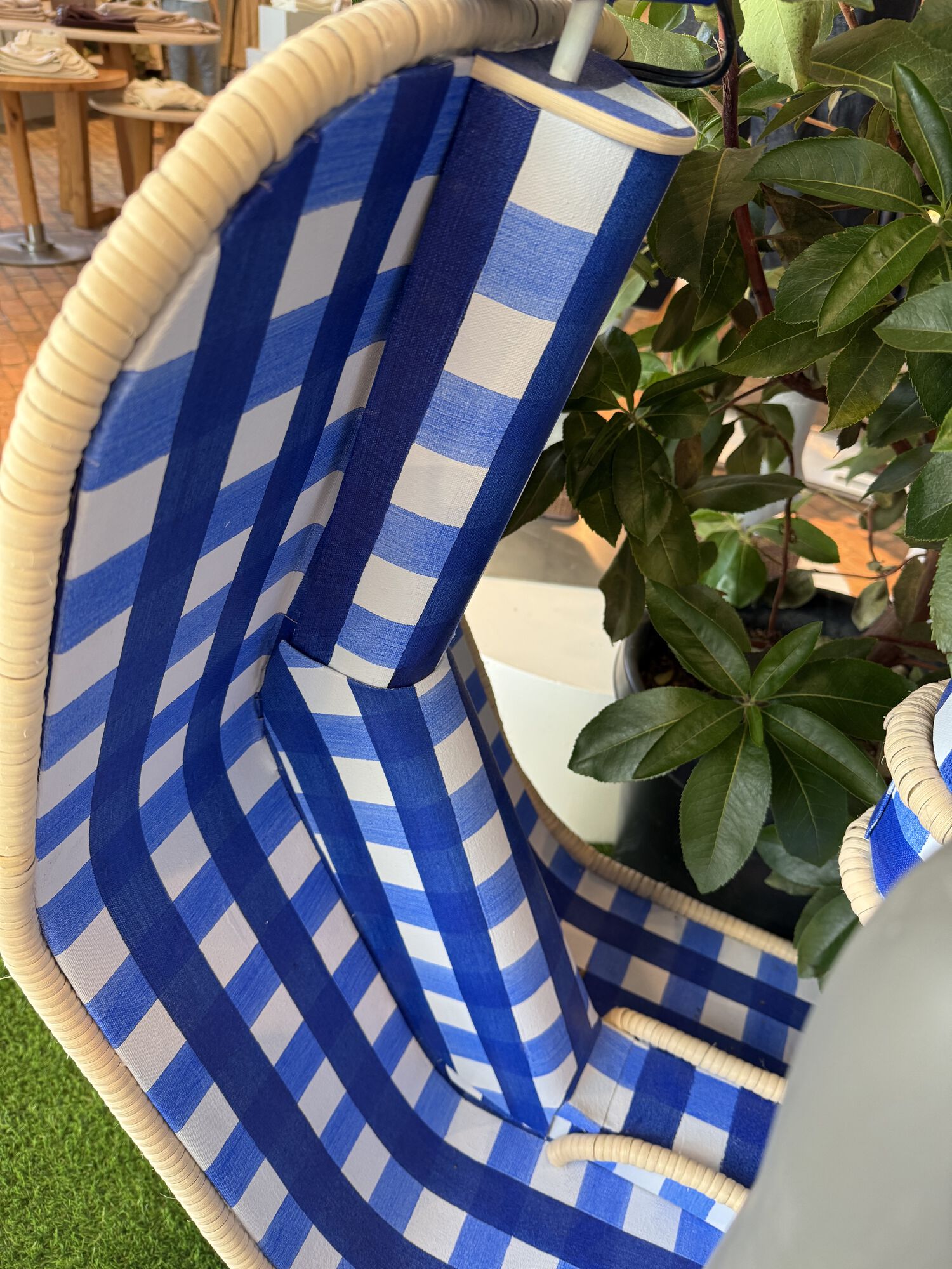 Forum member supplied image with no explanatory text