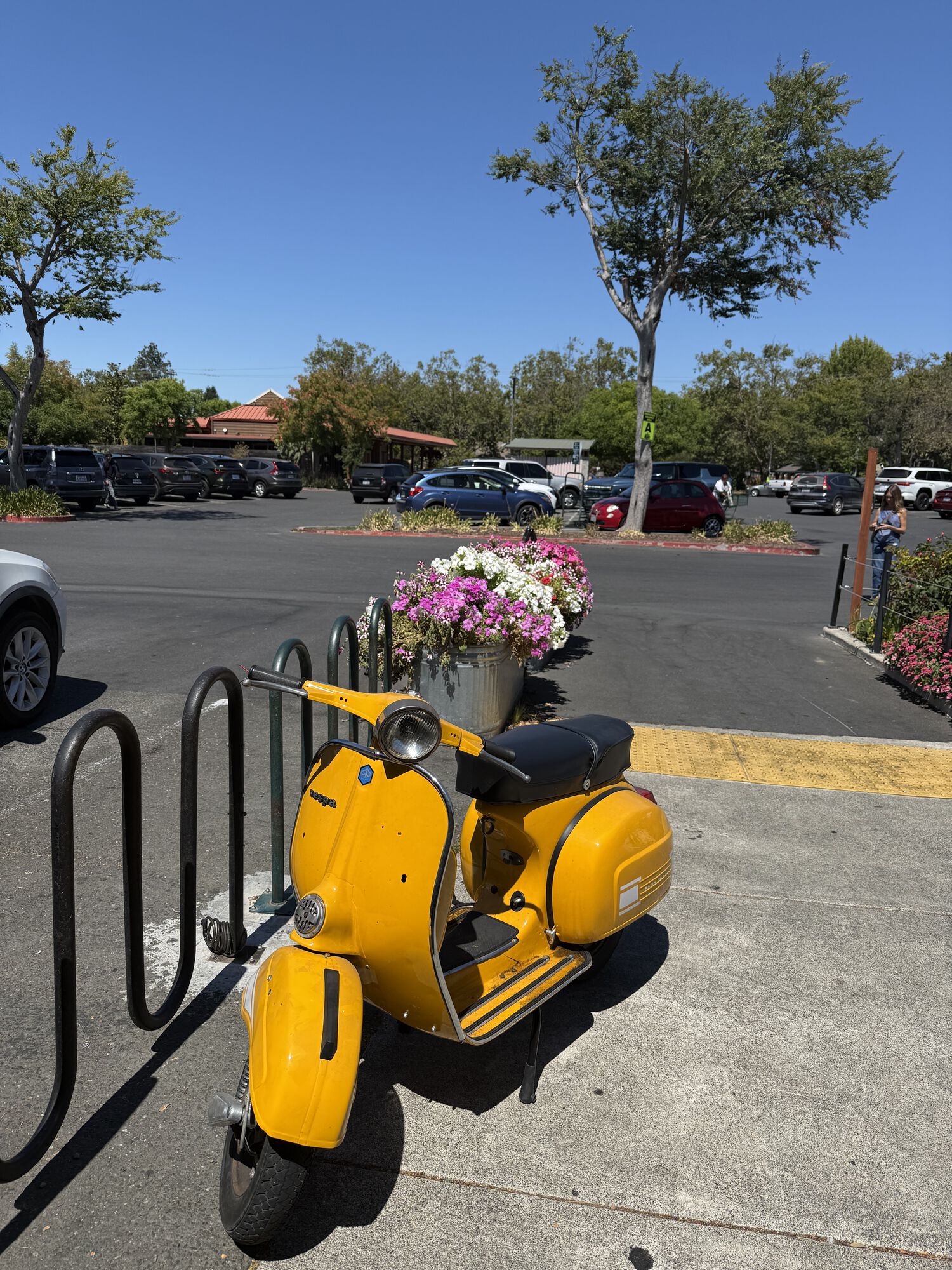 Forum member supplied image with no explanatory text