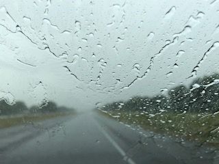 Forum member supplied image with no explanatory text