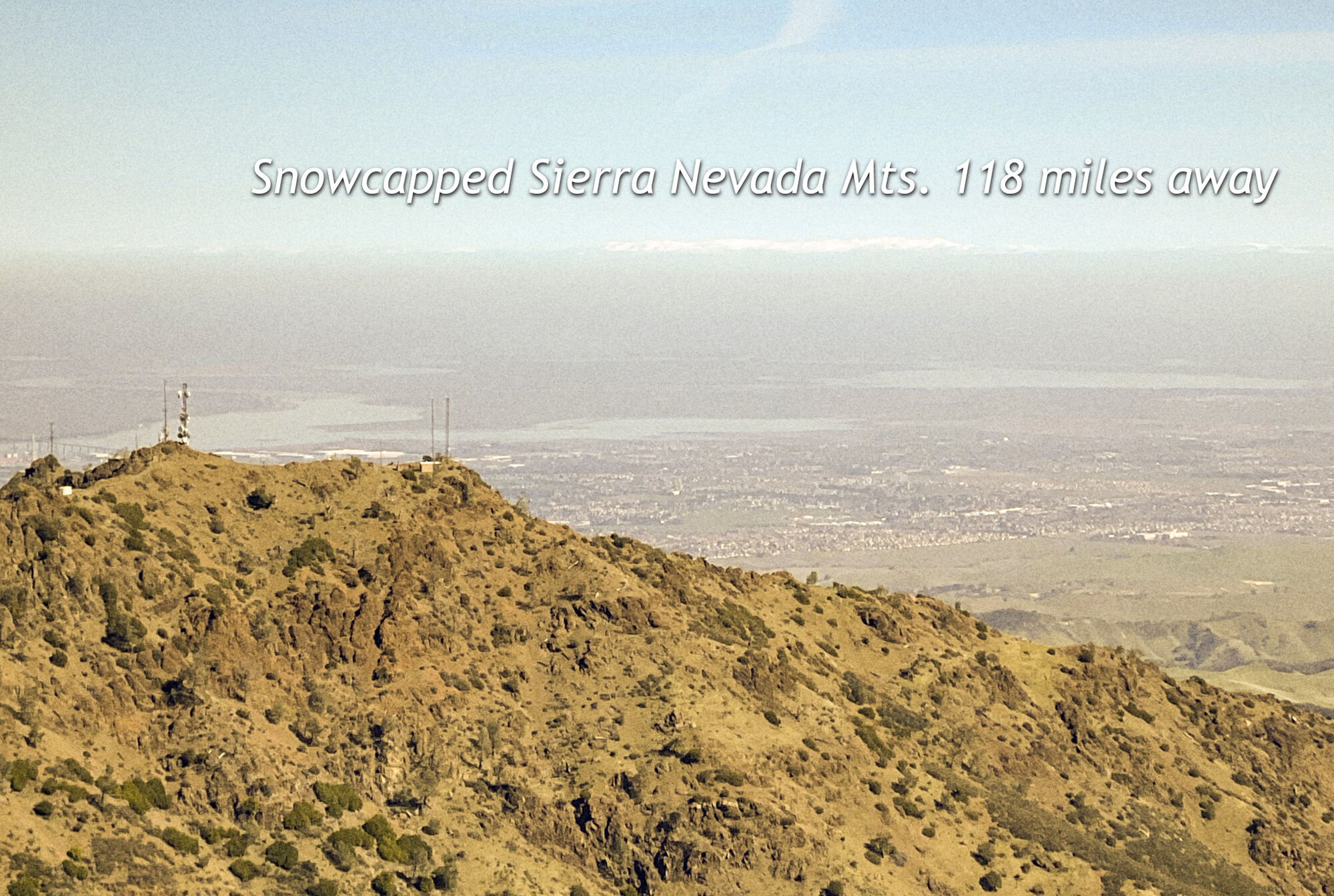 Forum member supplied image with no explanatory text