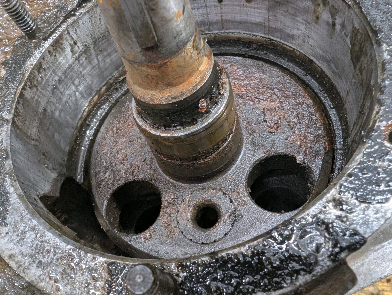 Forum member supplied image with no explanatory text