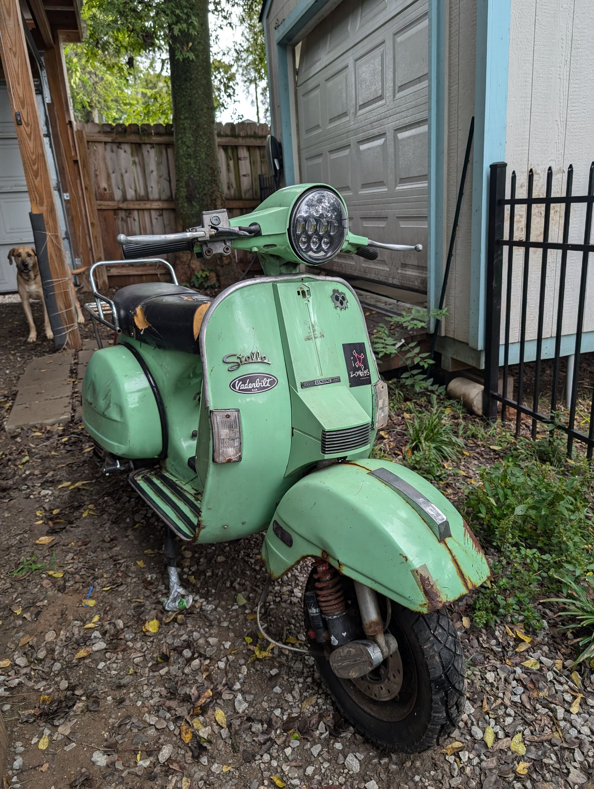 This bike has both *seen* and *done* some things.