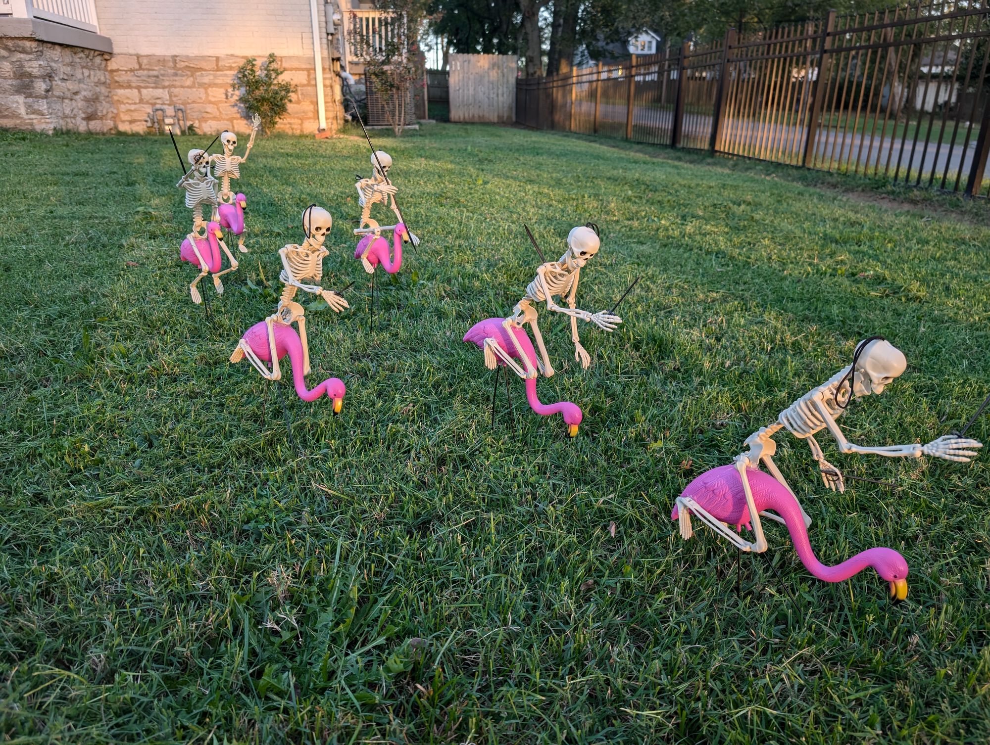 Forum member supplied image with no explanatory text