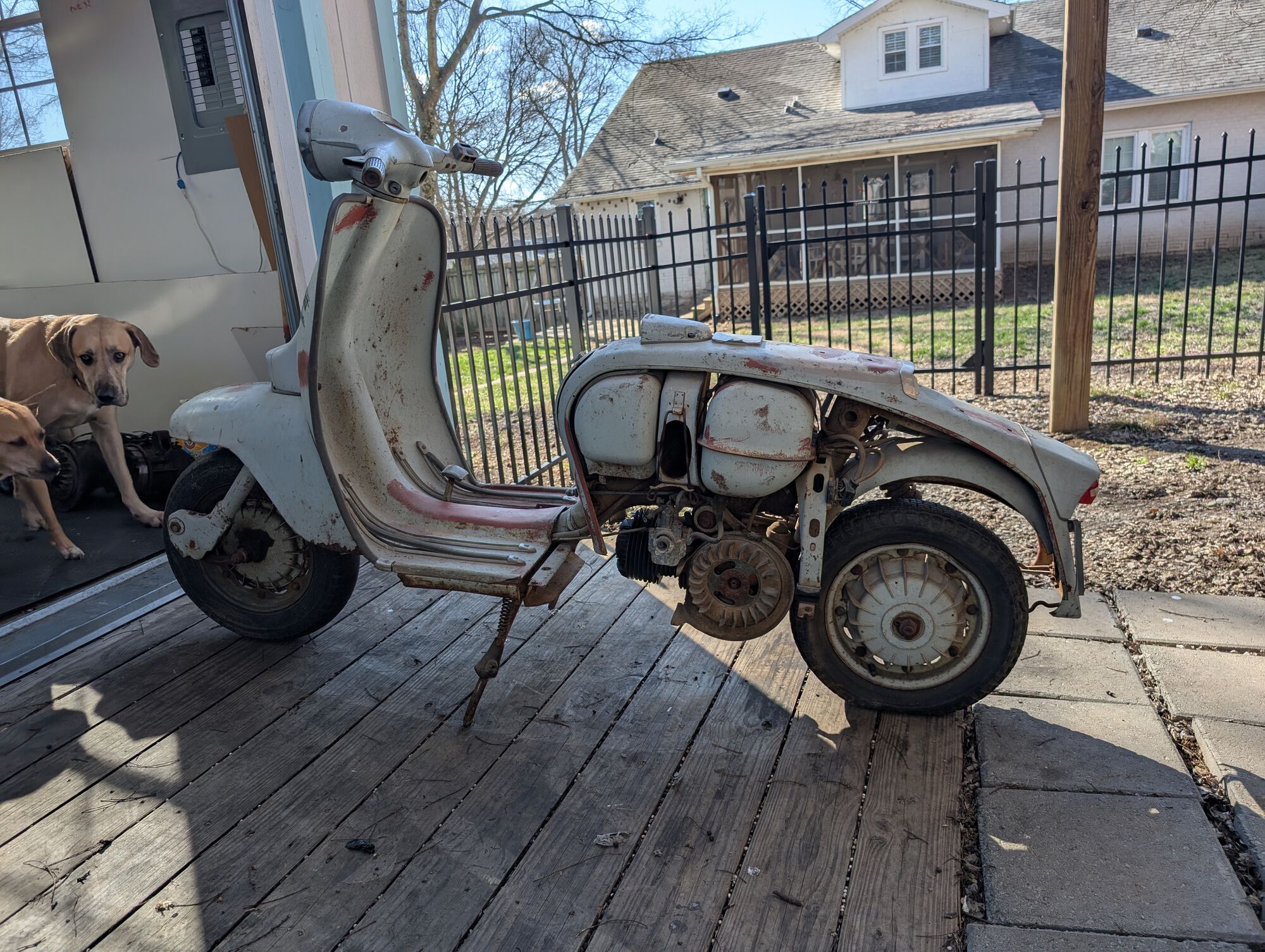 doggos are unconvinced.