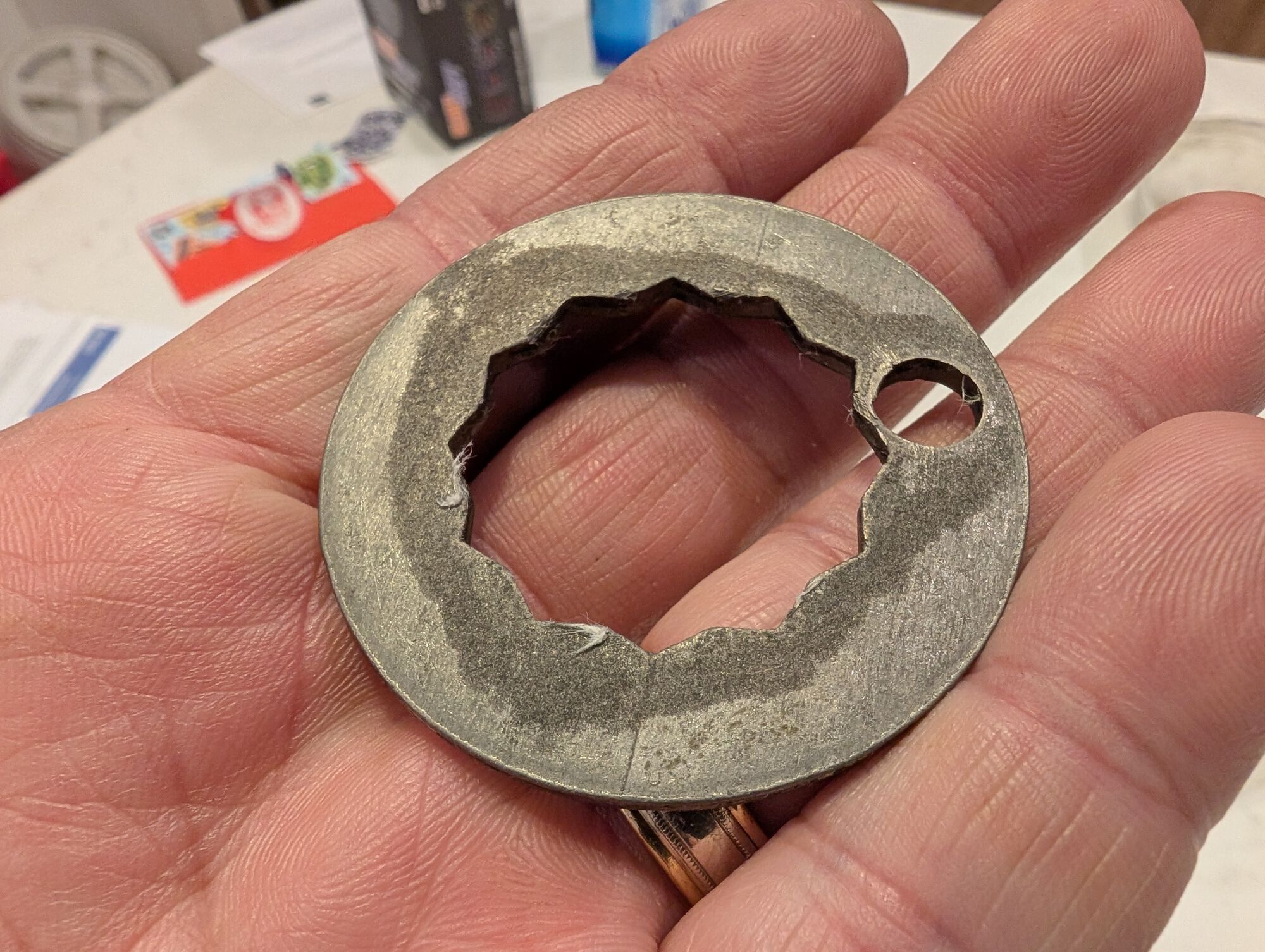 The star of the show