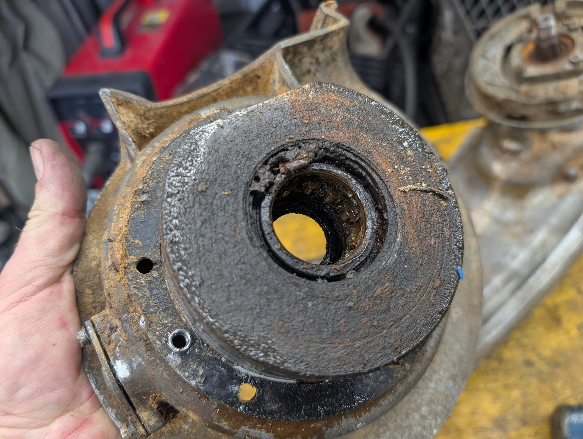 Forum member supplied image with no explanatory text