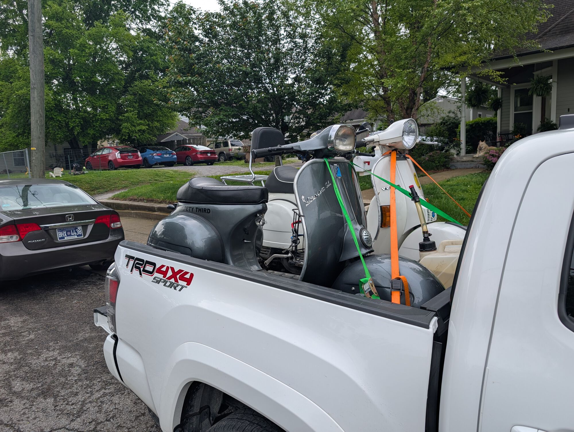 Forum member supplied image with no explanatory text